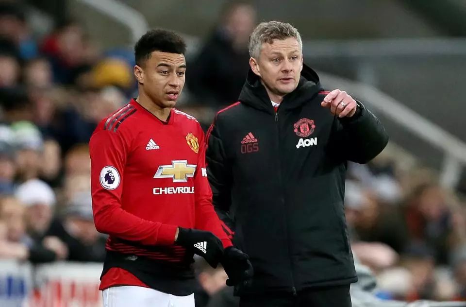 迷的目光和 迷的目光和