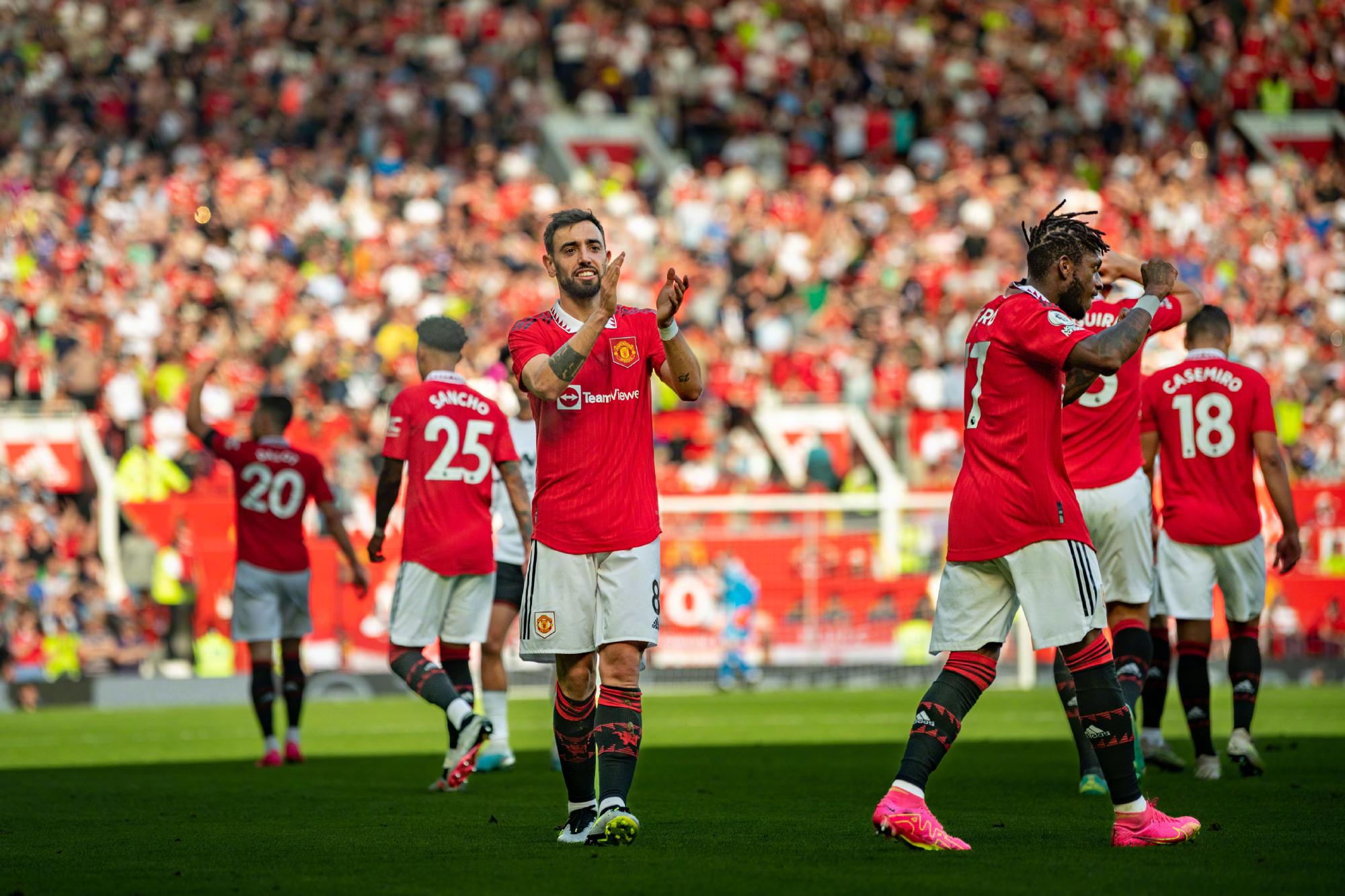 费兰的康复 费兰的康复